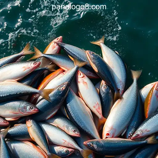 Exploring the World of Fishing: Tradition Meets Modern Leisure